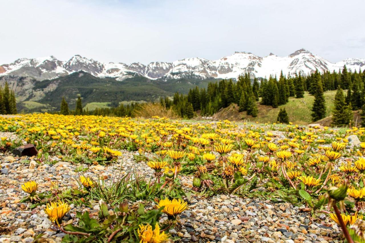 Telluride Town Jewel Apartment ภายนอก รูปภาพ